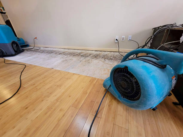 Professional Structural Drying technician working in Nicholson, GA